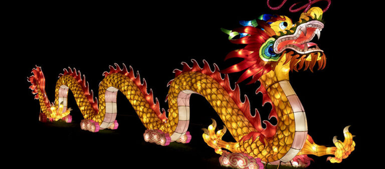 Dragon + Fenghuang