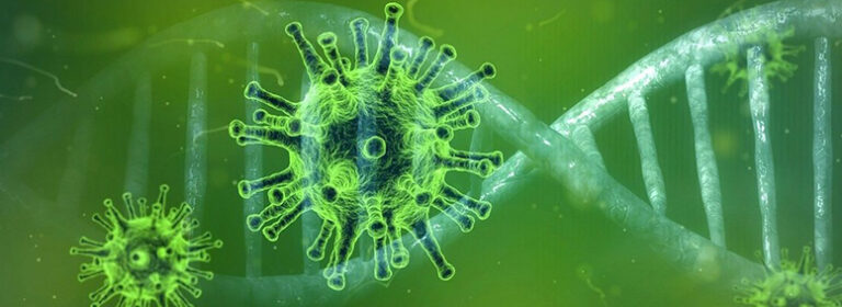 Corona Virus