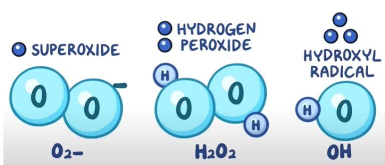 Oxidative stress