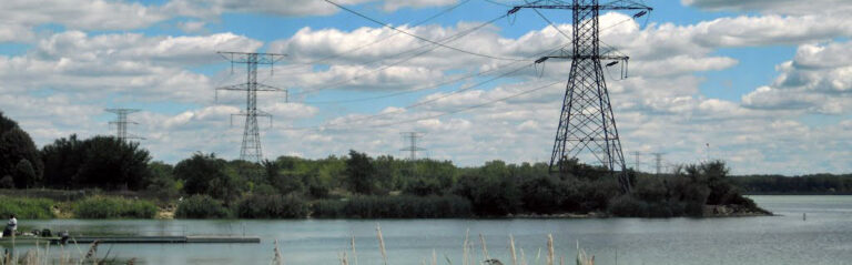 Power Line EMFs