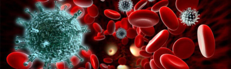 Immune System