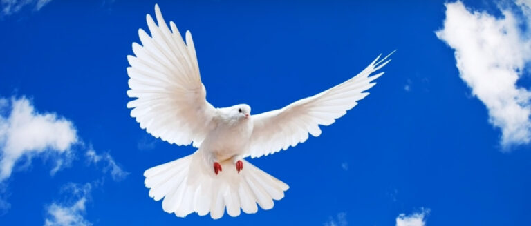 Pentecost story